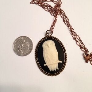 Beautiful resin SNOWY OWL Cameo Pendant, bronze tones, 18” chain